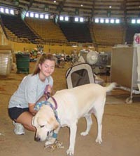 Parker Agricultural Coliseum Post Katrina